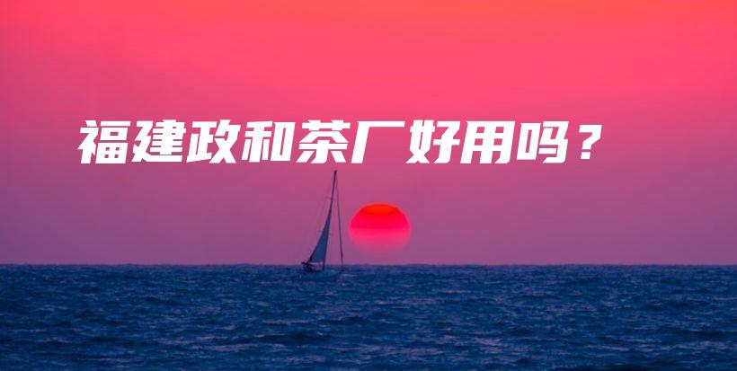 福建政和茶厂好用吗？插图