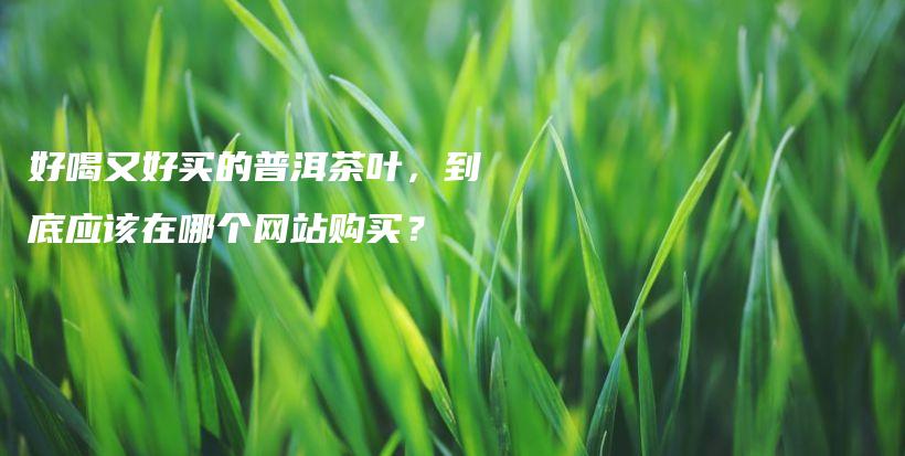 好喝又好买的普洱茶叶，到底应该在哪个网站购买？插图