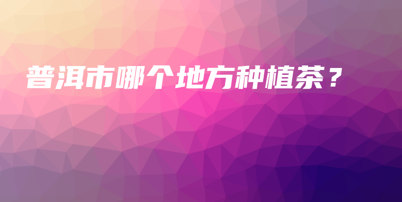 普洱市哪个地方种植茶？插图