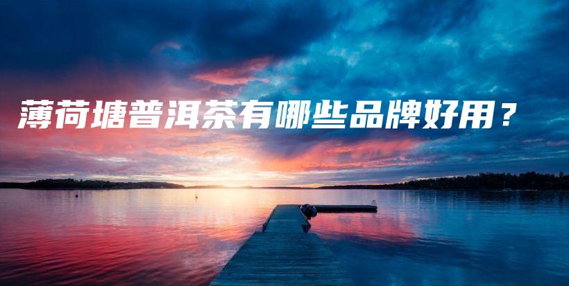 薄荷塘普洱茶有哪些品牌好用？插图