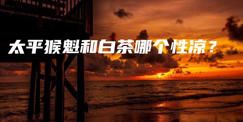 太平猴魁和白茶哪个性凉？插图