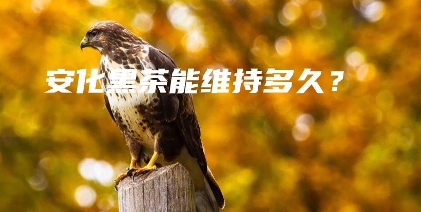 安化黑茶能维持多久？插图