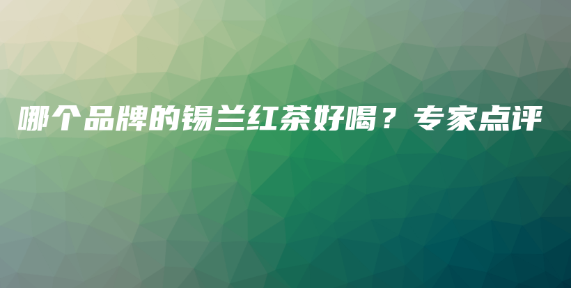 哪个品牌的锡兰红茶好喝？专家点评插图