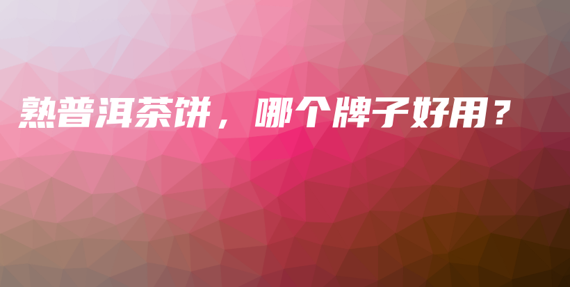 熟普洱茶饼，哪个牌子好用？插图