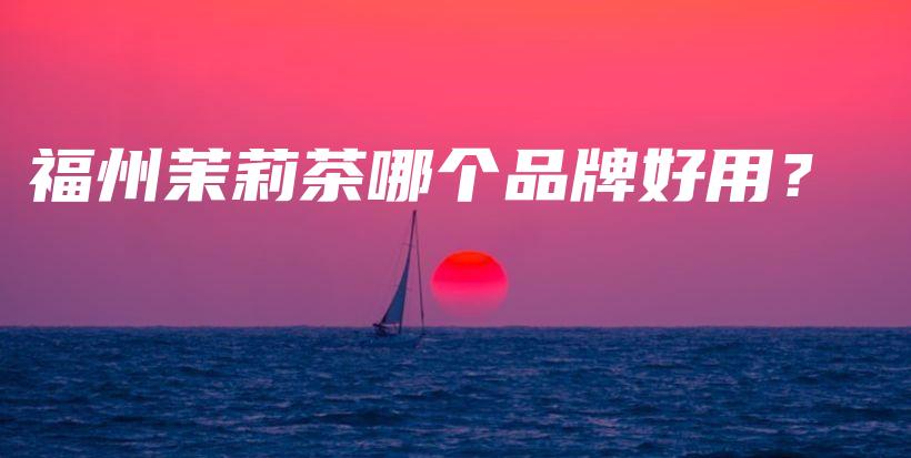 福州茉莉茶哪个品牌好用？插图