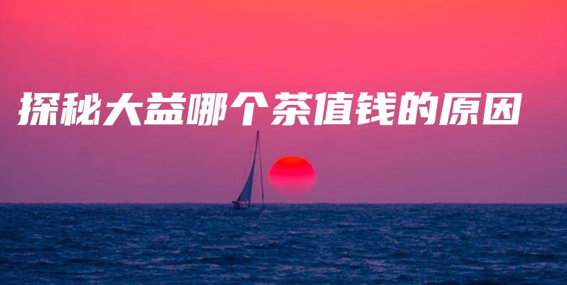 探秘大益哪个茶值钱的原因插图
