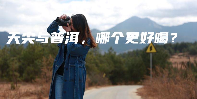 天尖与普洱，哪个更好喝？插图