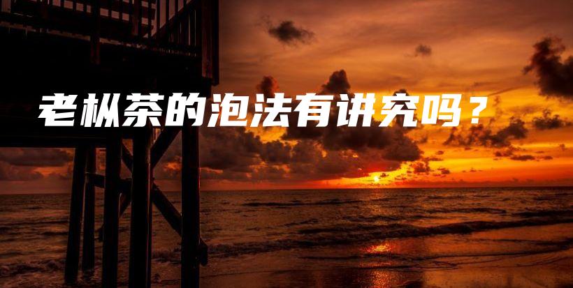老枞茶的泡法有讲究吗？插图