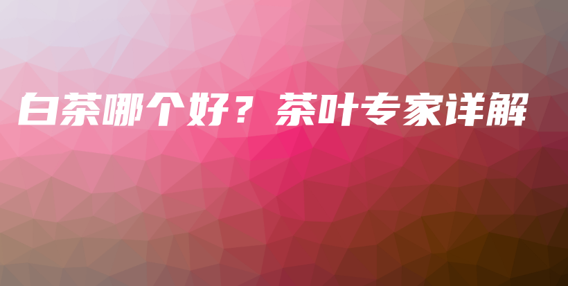 白茶哪个好?茶叶专家详解插图 白茶哪个好?茶叶专家详解插图
