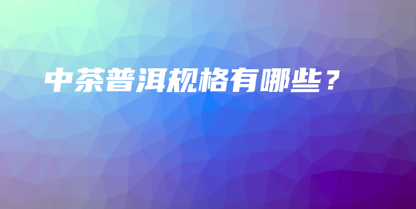 中茶普洱规格有哪些？插图