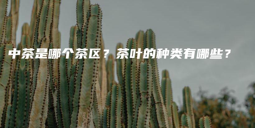 中茶是哪个茶区？茶叶的种类有哪些？插图