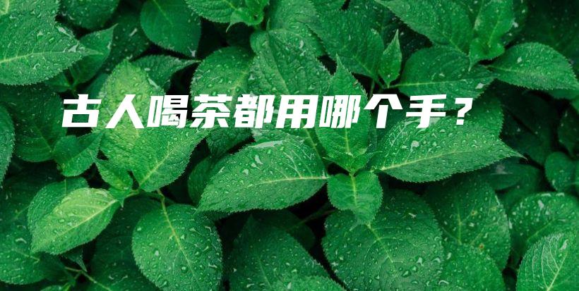 古人喝茶都用哪个手？插图