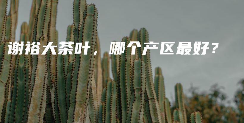 谢裕大茶叶，哪个产区最好？插图