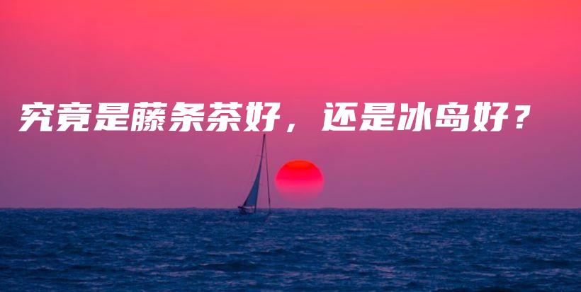 究竟是藤条茶好，还是冰岛好？插图