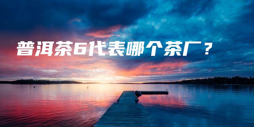 普洱茶6代表哪个茶厂？插图