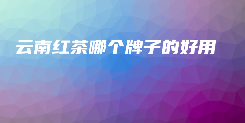 云南红茶哪个牌子的好用插图