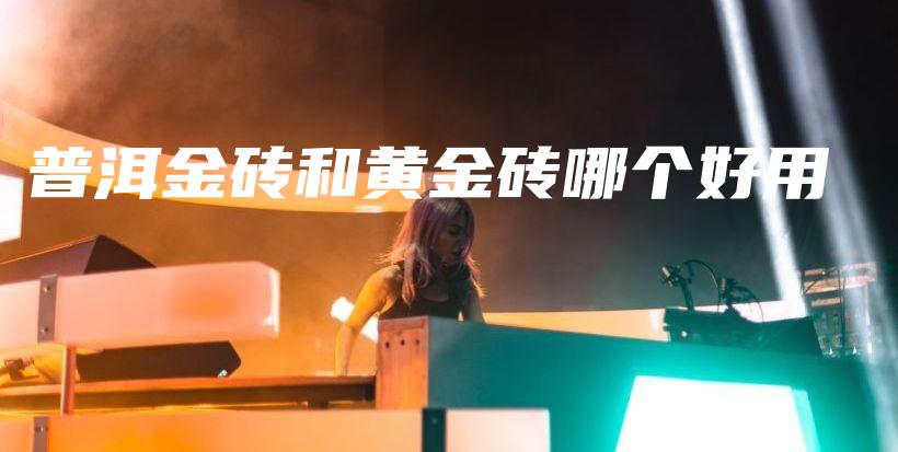 普洱金砖和黄金砖哪个好用插图