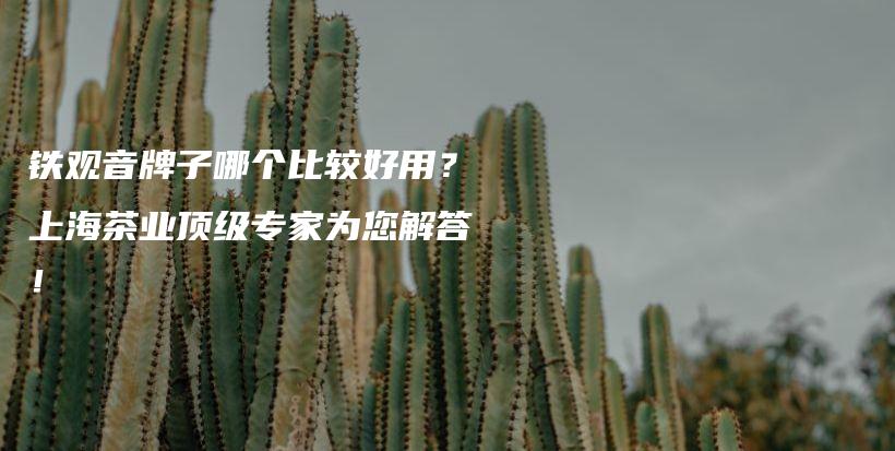 铁观音牌子哪个比较好用？上海茶业顶级专家为您解答！插图