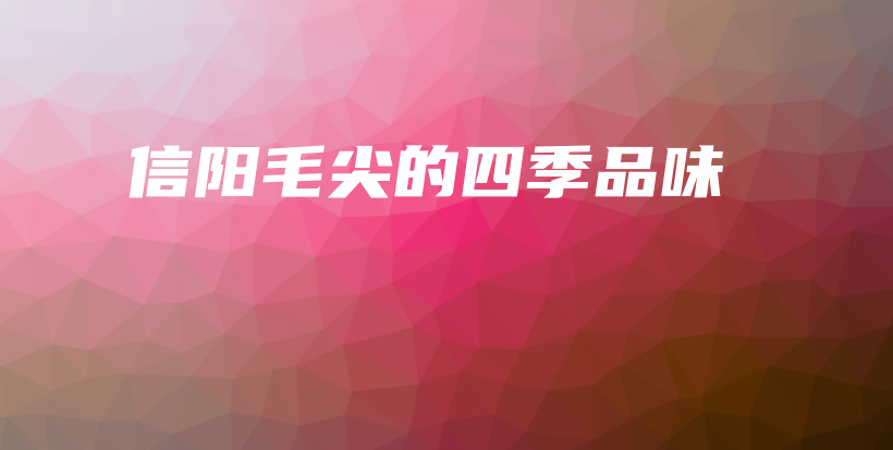 信阳毛尖的四季品味插图