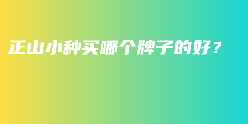 正山小种买哪个牌子的好？插图