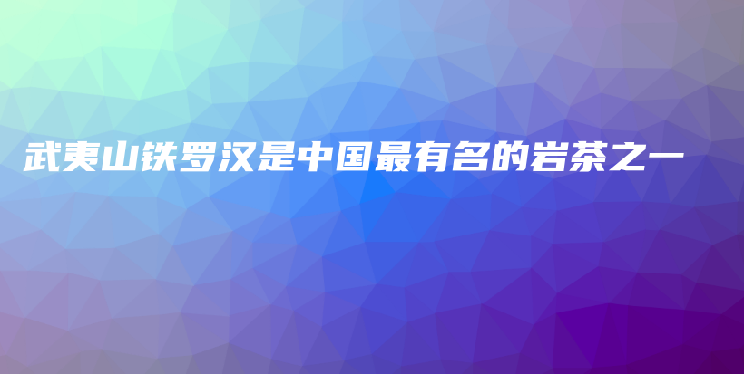 武夷山铁罗汉是中国最有名的岩茶之一插图