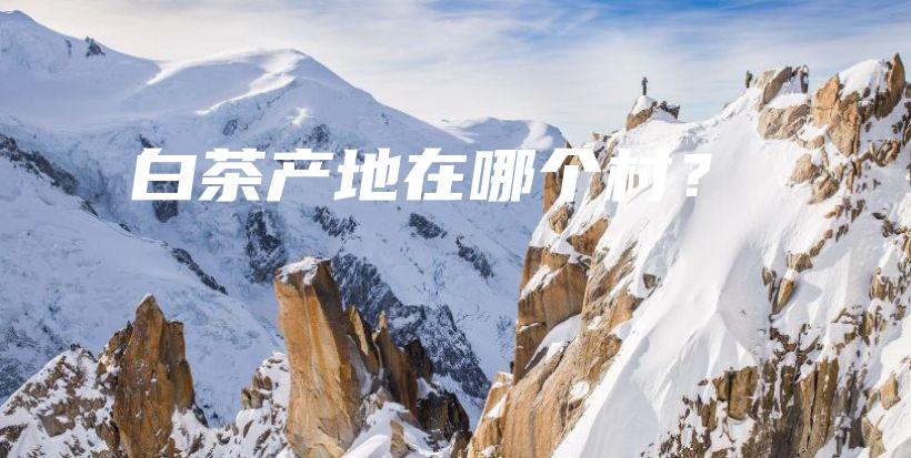 白茶产地在哪个村？插图