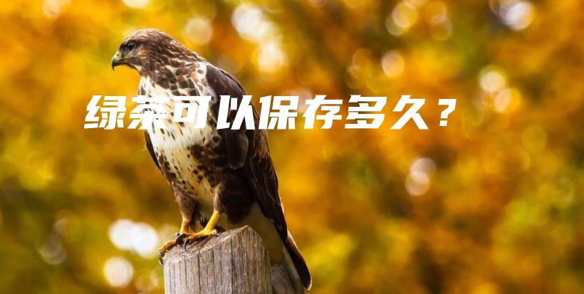 绿茶可以保存多久？插图