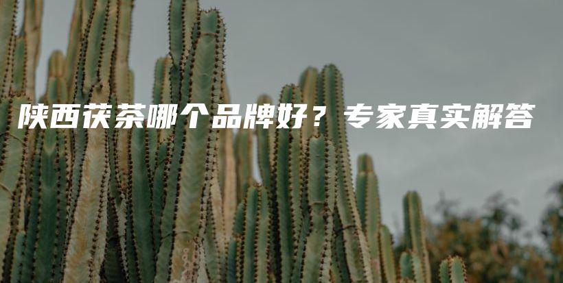 陕西茯茶哪个品牌好？专家真实解答插图