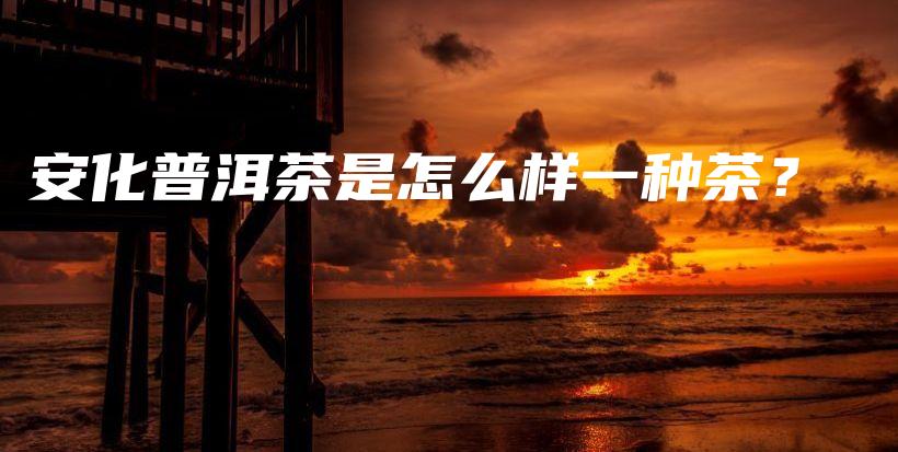 安化普洱茶是怎么样一种茶?插图 安化普洱茶是怎么样一种茶?插图