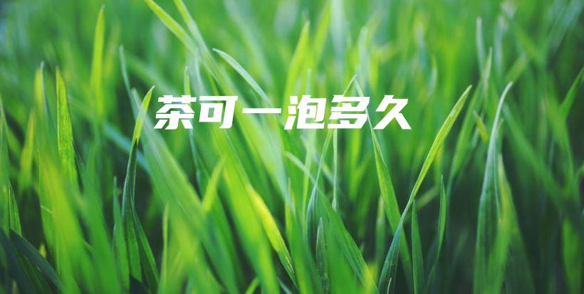 茶可一泡多久插图