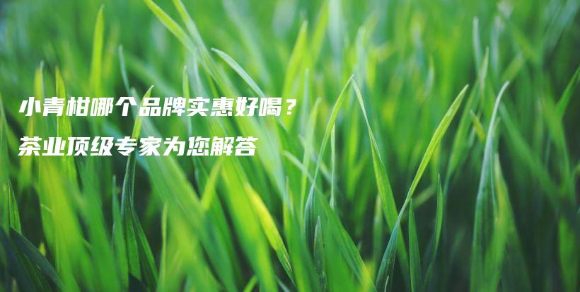 小青柑哪个品牌实惠好喝？茶业顶级专家为您解答插图