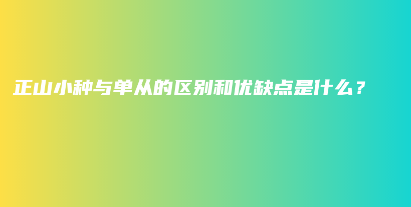 正山小种与单从的区别和优缺点是什么？插图