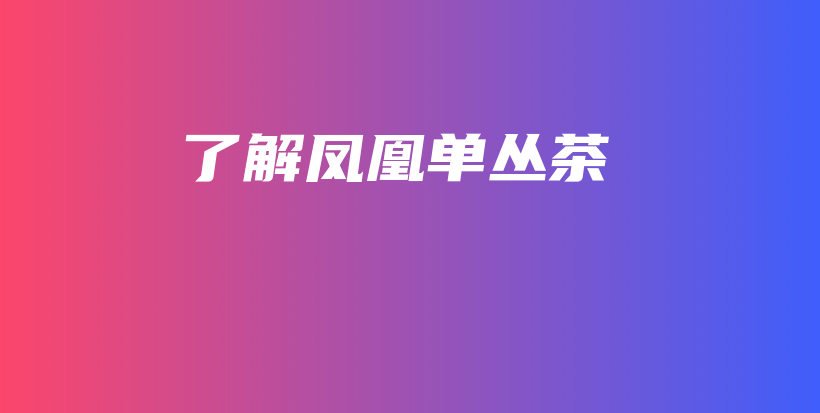 了解凤凰单丛茶插图