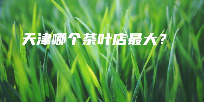 天津哪个茶叶店最大？插图