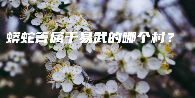 蟒蛇箐属于易武的哪个村？插图