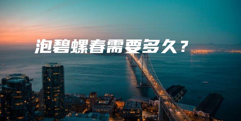 泡碧螺春需要多久？插图