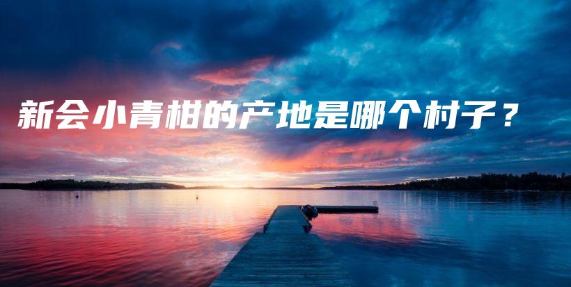 新会小青柑的产地是哪个村子？插图