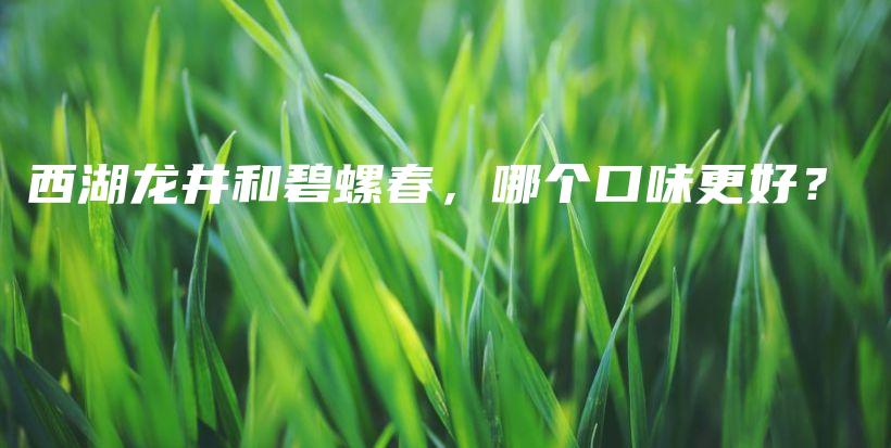 西湖龙井和碧螺春，哪个口味更好？插图