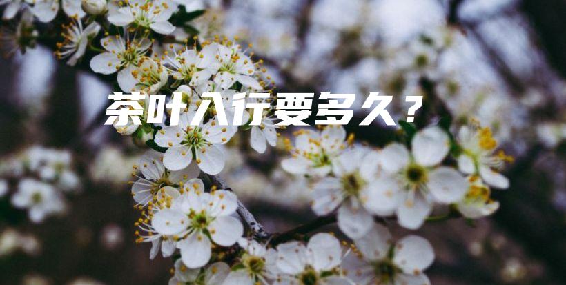 茶叶入行要多久?插图 茶叶入行要多久?插图