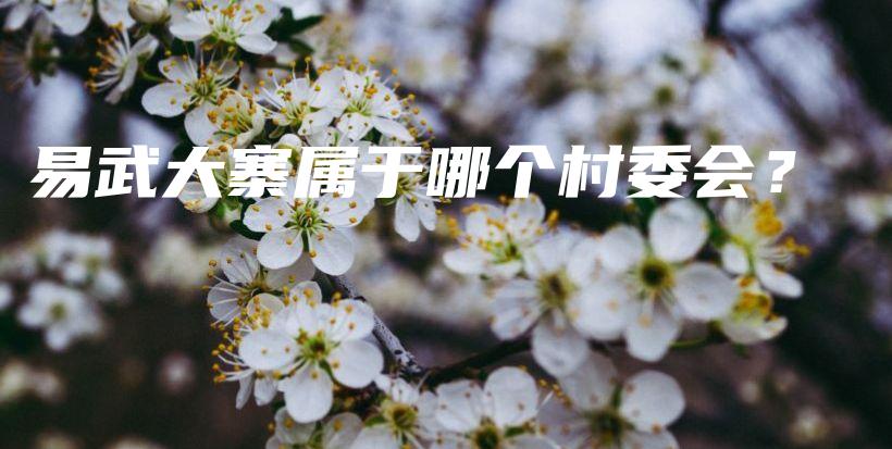 易武大寨属于哪个村委会？插图