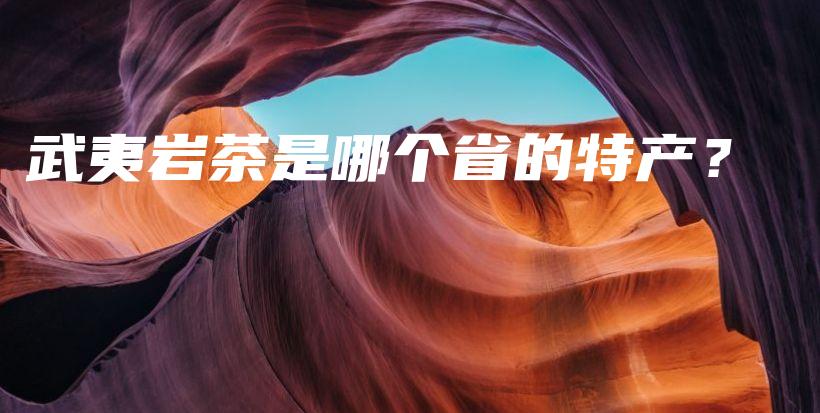 武夷岩茶是哪个省的特产？插图