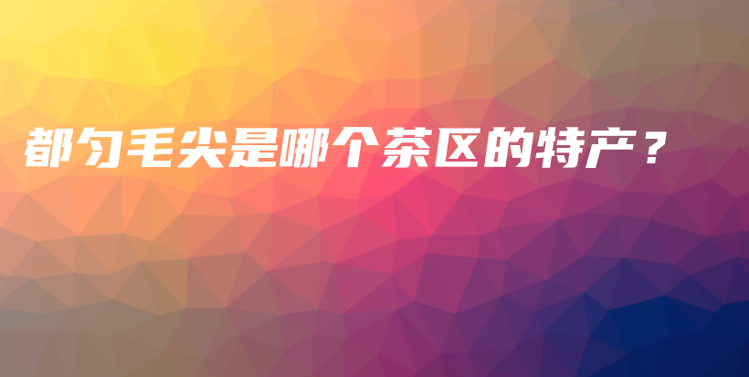 都匀毛尖是哪个茶区的特产？插图