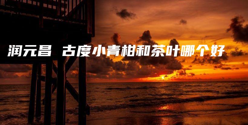 润元昌 古度小青柑和茶叶哪个好插图