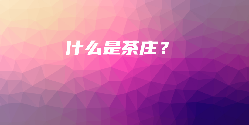 什么是茶庄？插图