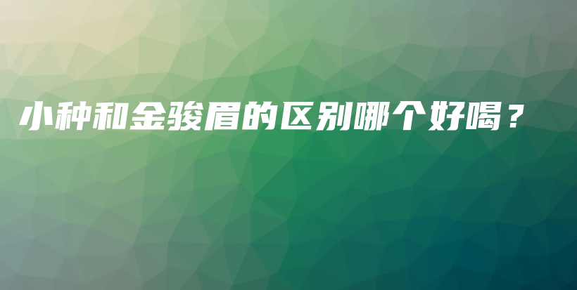 小种和金骏眉的区别哪个好喝？插图
