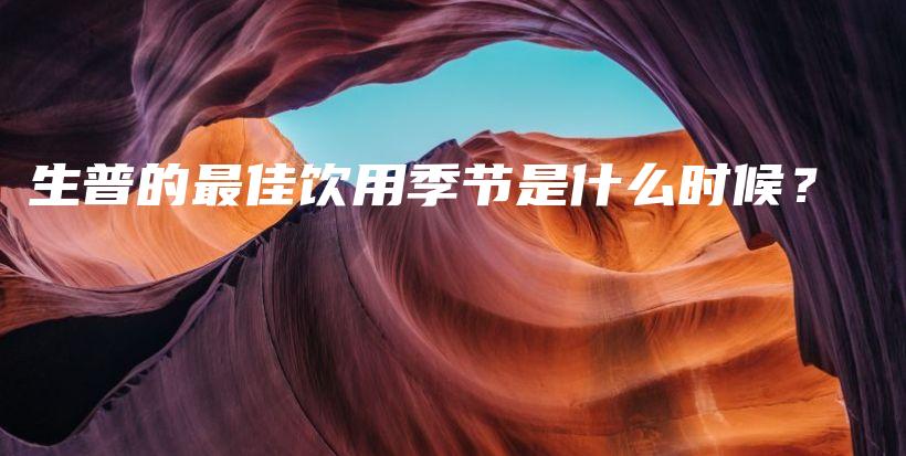 生普的最佳饮用季节是什么时候？插图