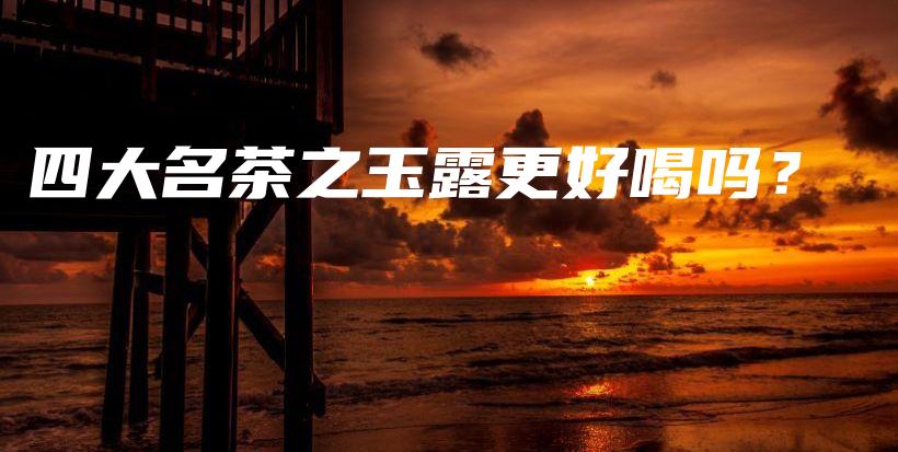 四大名茶之玉露更好喝吗？插图