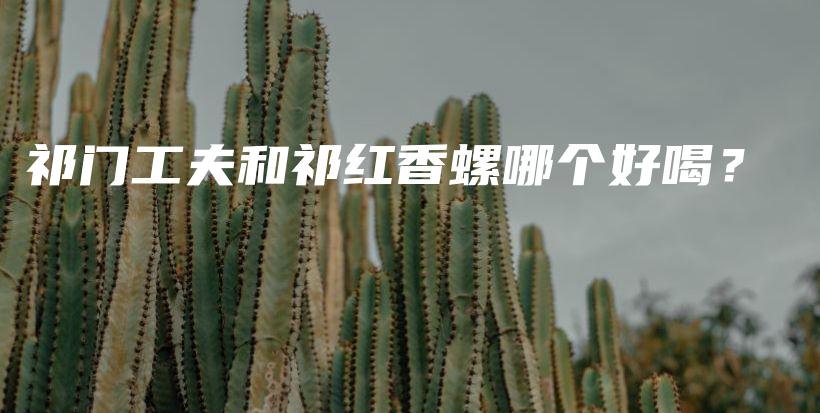 祁门工夫和祁红香螺哪个好喝？插图