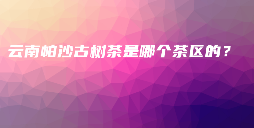 云南帕沙古树茶是哪个茶区的？插图