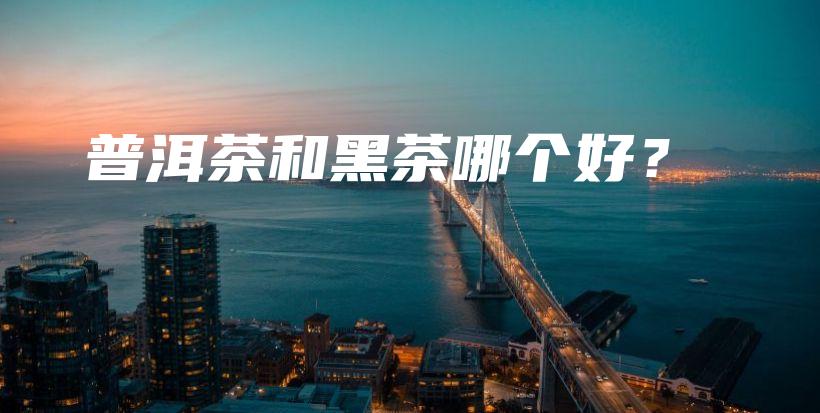 普洱茶和黑茶哪个好？插图